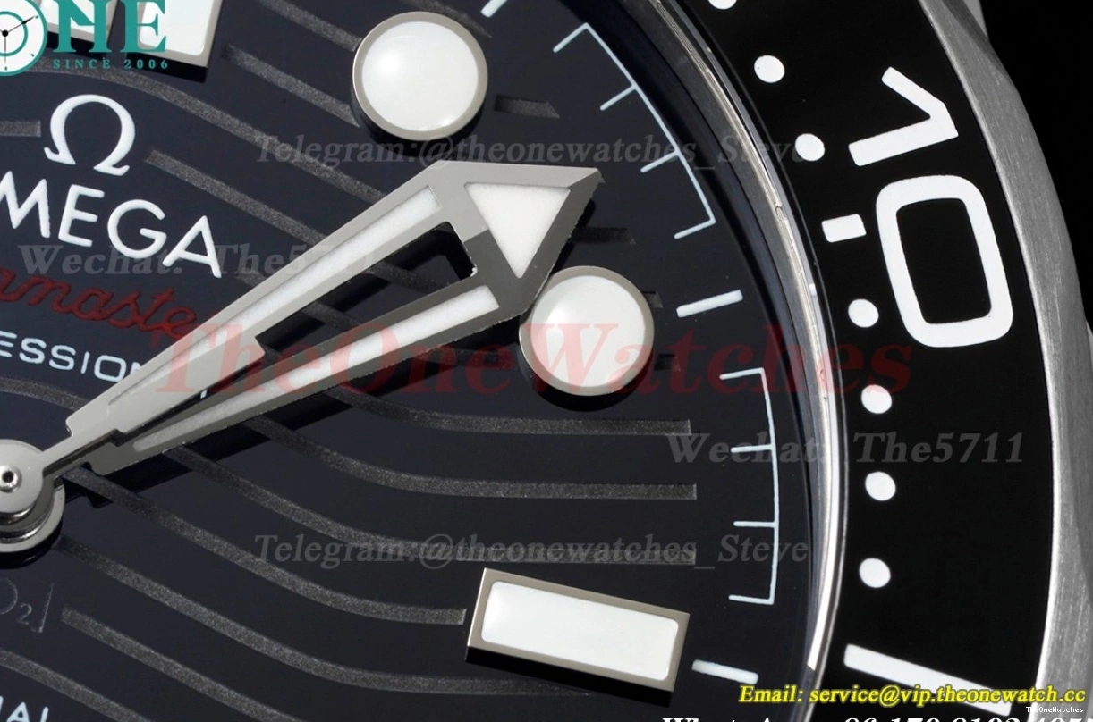 8800 Asia 300m SS 2018 Seamaster ORF Black SS 0113